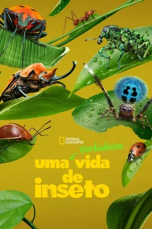 Uma Verdadeira Vida de Inseto