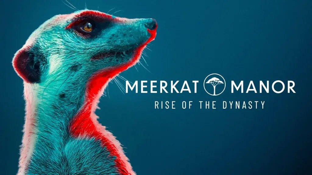 Meerkat Manor: Rise of the Dynasty