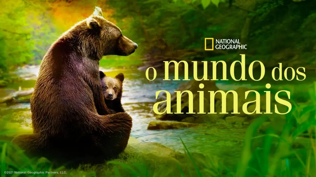 O Mundo dos Animais