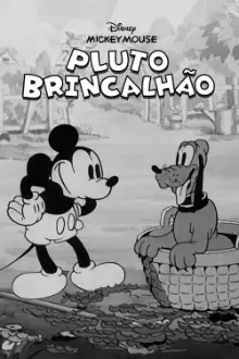 Pluto Brincalhão