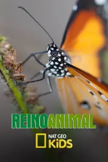 Reino Animal