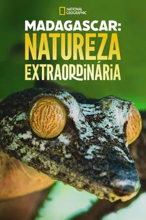 Madagascar: Natureza Extraordinária