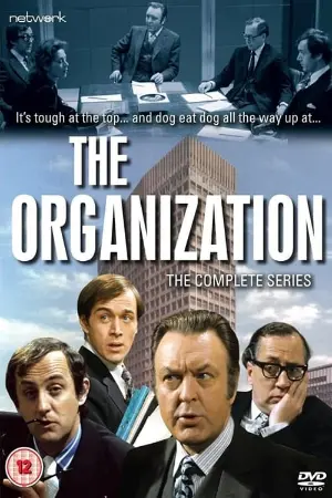 The Organization