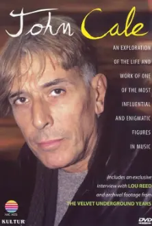 John Cale: An Exploration of His Life & Music