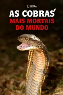 As Cobras Mais Mortais do Mundo