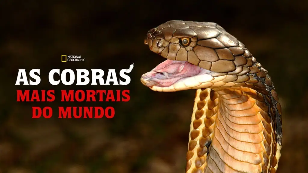 As Cobras Mais Mortais do Mundo
