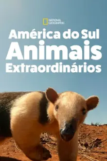 América do Sul: Animais Extraordinários