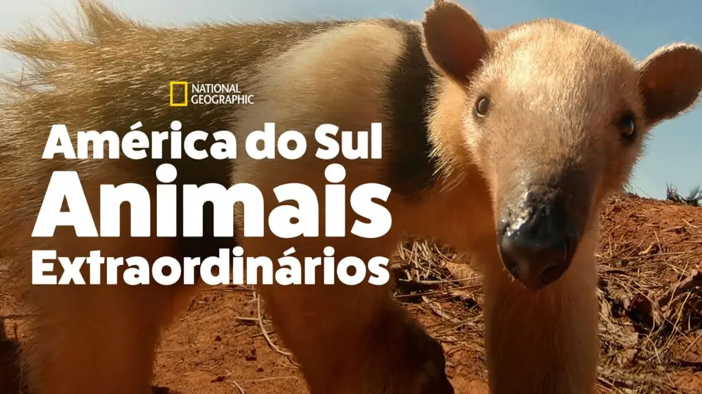 América do Sul: Animais Extraordinários