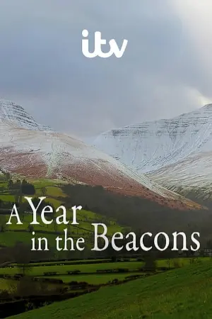 A Year in the Beacons