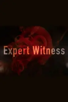 Expert Witness