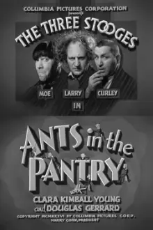 Ants in the Pantry