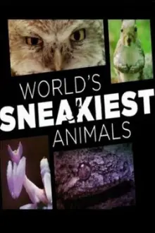 World's Sneakiest Animals