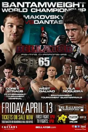 Bellator 65