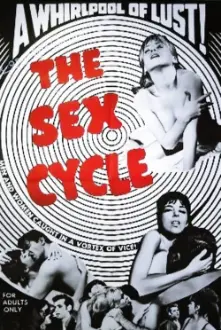 The Sex Cycle