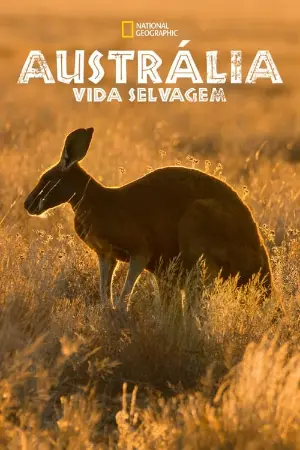 Austrália: Vida Selvagem