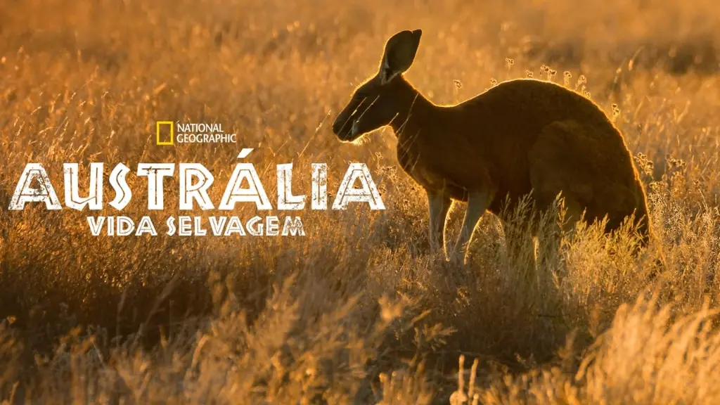 Austrália: Vida Selvagem