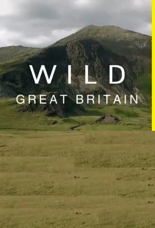 Wild Great Britain