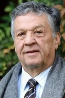Renato Pozzetto como: Giuseppe 'Nino' Sgarbi