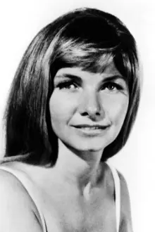 Barbara Loden como: Ginny Stamper