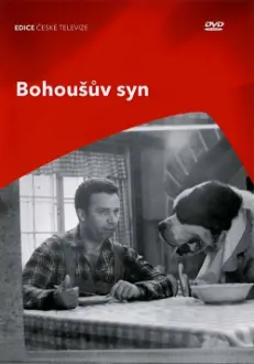 Bohoušův syn