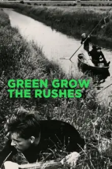 Green Grow the Rushes