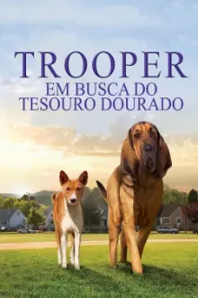 Trooper Em Busca do Tesouro Dourado