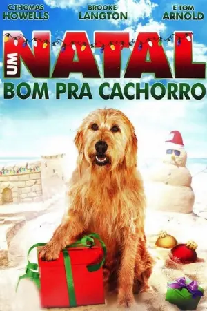 Um Natal Bom pra Cachorro