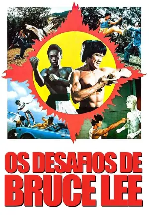 Os Desafios de Bruce Lee