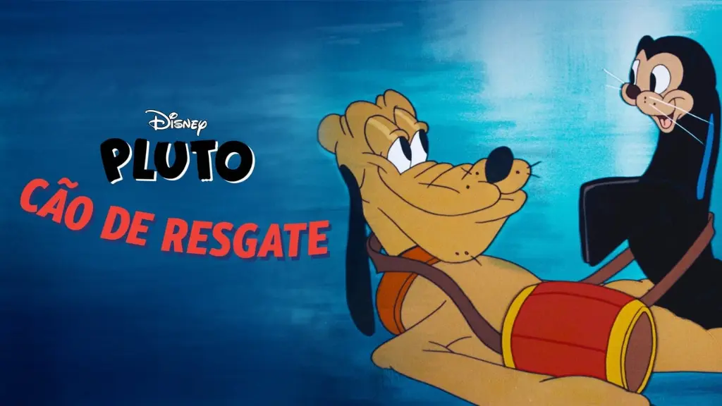 Cão de Resgate