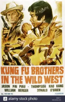 Kung Fu Brothers in the Wild West