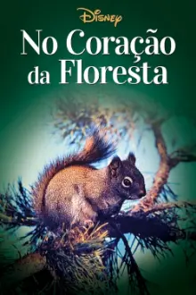 No Coração da Floresta