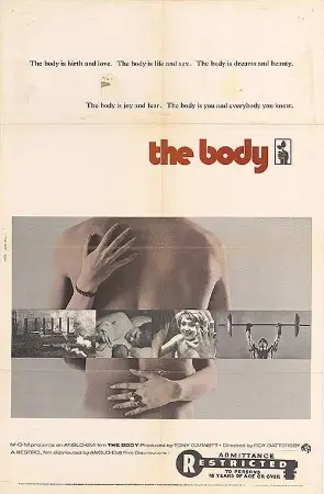 The Body