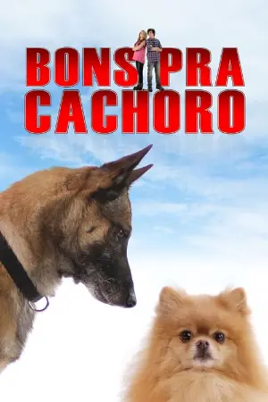 Bons Pra Cachorro