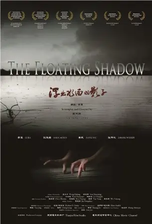 The Floating Shadow