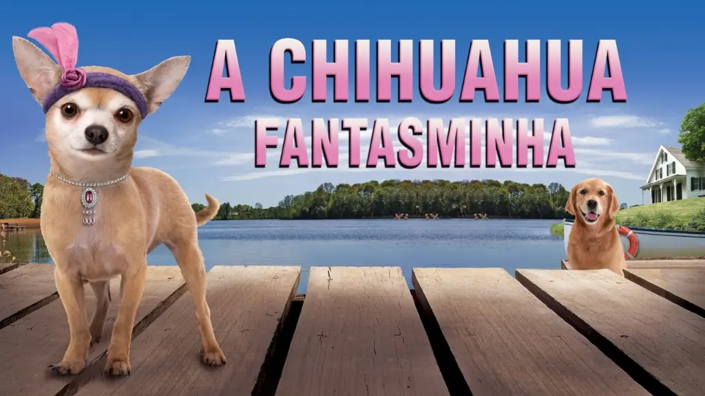 A Chihuahua Fantasminha