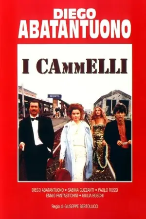 I cammelli