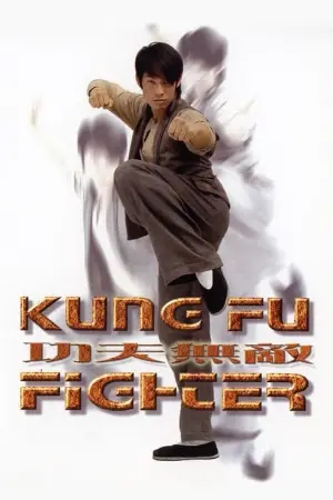 Kung Fu Fighter