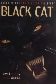 Black Cat