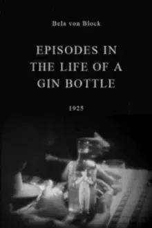 Episodes in the Life of a Gin Bottle