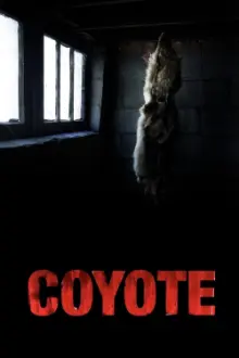 Coyote