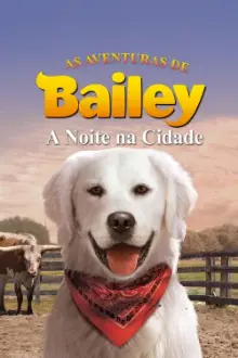 As Aventuras de Bailey: A Noite na Cidade