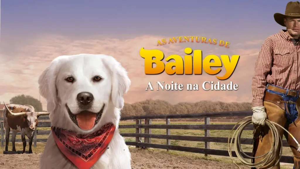 As Aventuras de Bailey: A Noite na Cidade