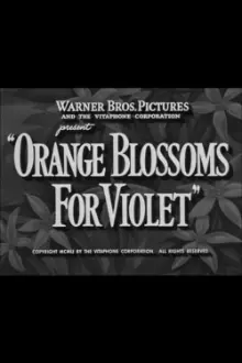 Orange Blossoms for Violet