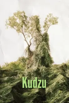 Kudzu