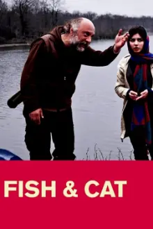 Fish & Cat