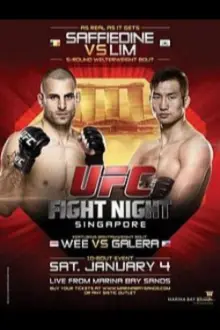 UFC Fight Night 34: Saffiedine vs. Lim