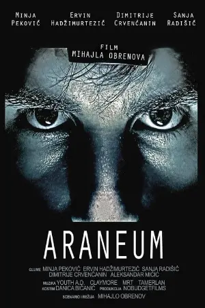 Araneum