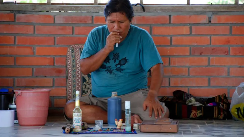 The Shaman & Ayahuasca: Journeys to Sacred Realms