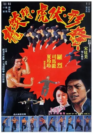 Secret of Chinese Kung Fu