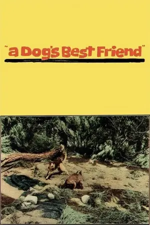 A Dog's Best Friend